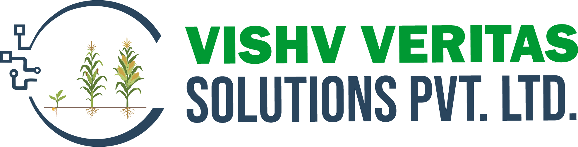 Vishv Veritas Solutions Pvt. Ltd.